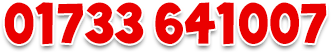 01733 641007