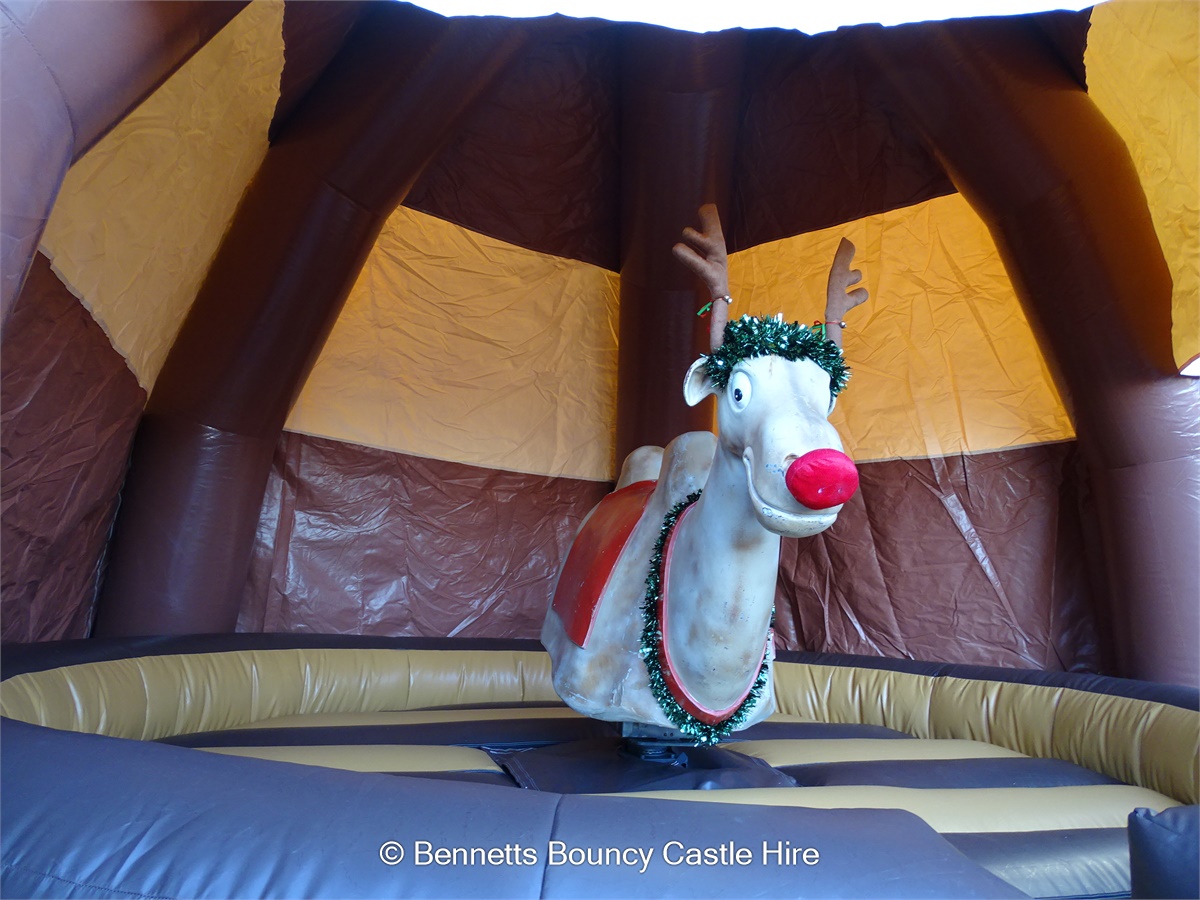 RODEO REINDEER HIRE . CHRISTMAS PARTY HIRE
