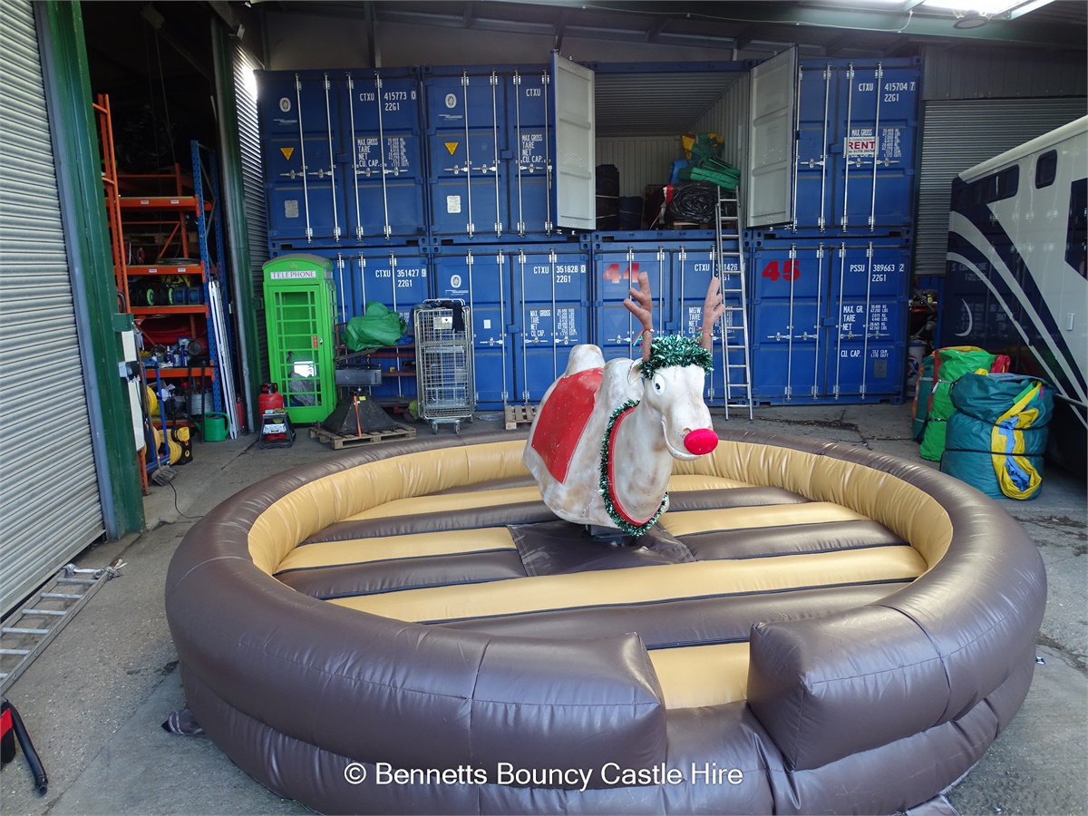 RODEO REINDEER HIRE . CHRISTMAS PARTY HIRE